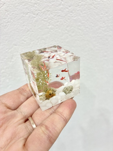 出店イメージ1