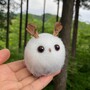 ホロッホのおうち