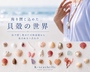 k-seashells ～ 湘南の天然貝殻アクセサリー ～