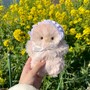 nunu。