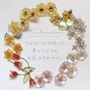 Kalanchoe