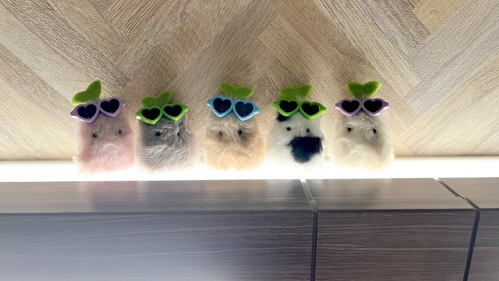 出店イメージ5