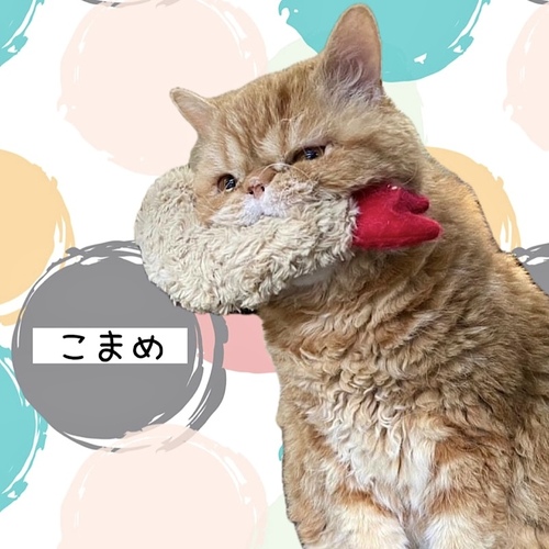 出店イメージ5