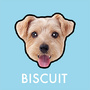 BISCUIT